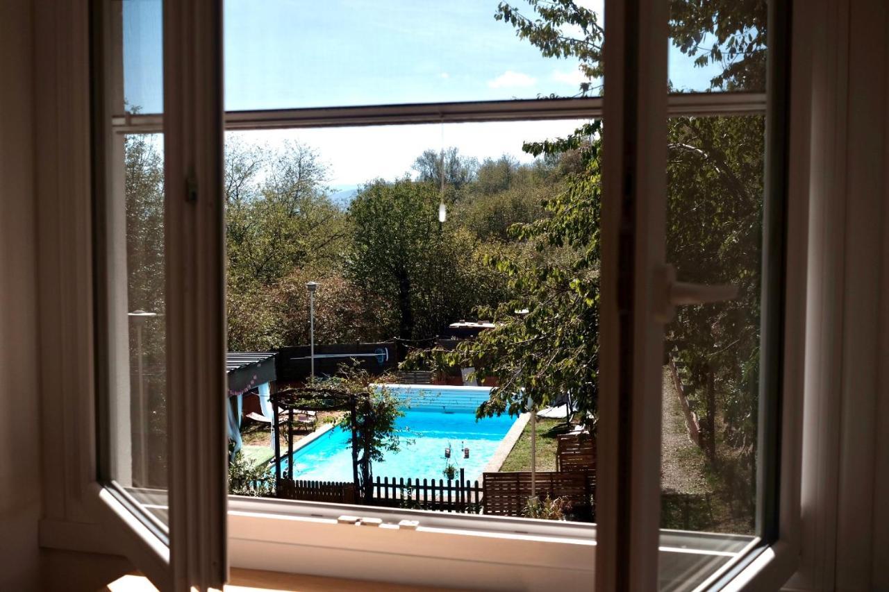 Appartement Dans Maison Individuelle, Piscine